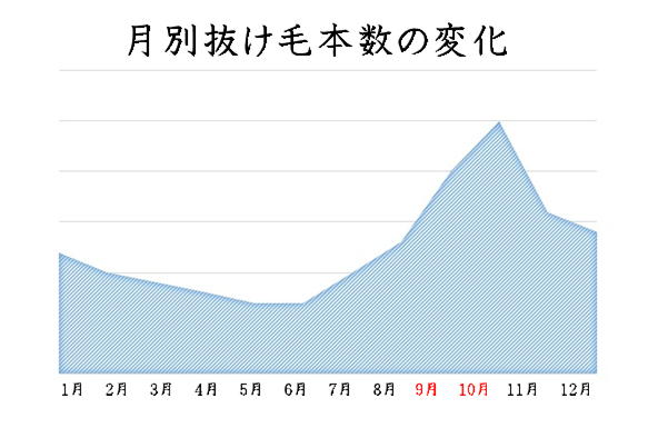 秋の抜け毛対策に