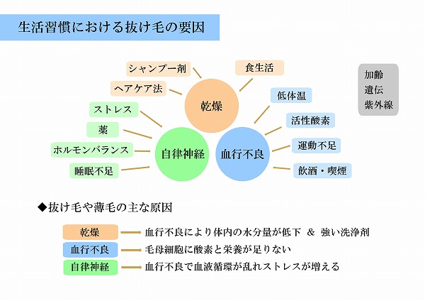 頭皮のお悩みありませんか？